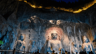 The History of Henan: Preserving Ancient Culture for the Future