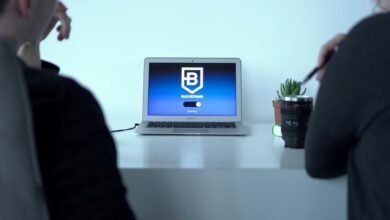 legal system application analysis