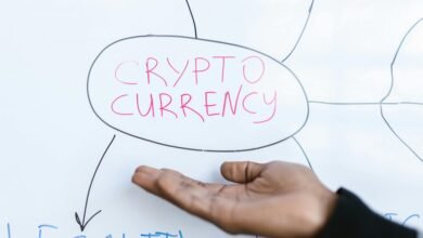 technical and legal insights