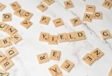 dividend stocks to watch