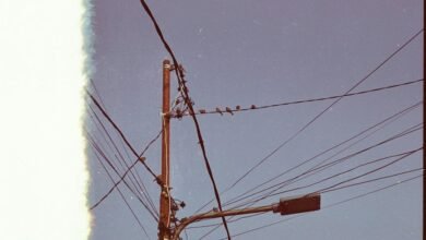 support line inquiry number