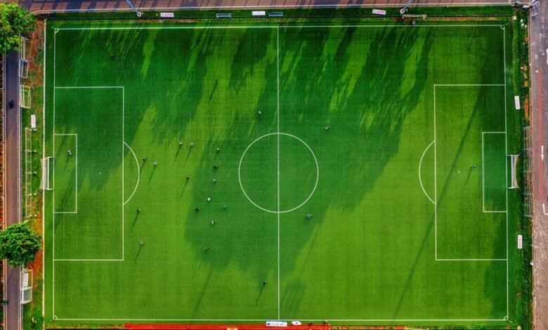 identifier activity overview details