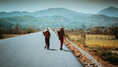 multi region identifier report summary