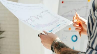 business insights and forecasting