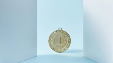 seo rankings performance guide