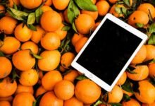 digital boost device model