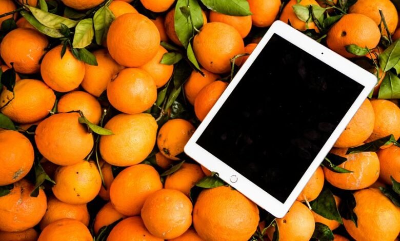 digital boost device model