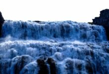 digital growth initiative launch