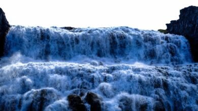 digital growth initiative launch