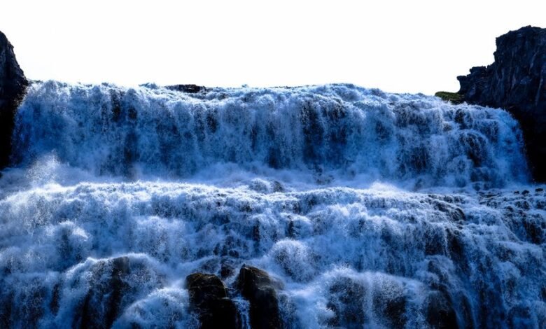 digital growth initiative launch